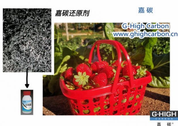 嘉碳還原劑守護(hù)“莓”好，甜蜜上線